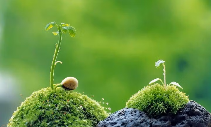  Lạc quan, tích cực không chỉ khiến con người trở nên vui vẻ hơn mà còn sáng suốt hơn. Ai cũng có cơ hội gặp quý nhân trong đời, quan trọng là có biết mà nắm lấy hay không thôi. Trong lúc bạn đang ủ rũ buồn bã, có lẽ quý nhân của bạn đã lướt qua mất rồi đấy.