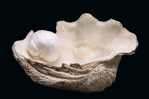 Tha neo vuong vao tang da, vo tinh tim duoc 