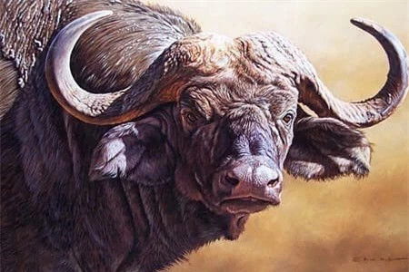 Tuổi Sửu: Sửu khẳng khái, cởi mở, làm việc gì cũng thận trọng, luôn tạo cảm giác tin cậy, tin tưởng đối với người khác. Con giáp này khi trẻ chịu nhiều vất vả, phải trải qua nhiều khó khăn, sóng gió, đối mặt với không ít thị phi, phiền phức phát sinh ngoài ý muốn, thậm chí còn bị tiểu nhân hãm hại.