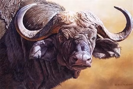 Tuổi Sửu: Sửu khẳng khái, cởi mở, làm việc gì cũng thận trọng, luôn tạo cảm giác tin cậy, tin tưởng đối với người khác. Con giáp này khi trẻ chịu nhiều vất vả, phải trải qua nhiều khó khăn, sóng gió, đối mặt với không ít thị phi, phiền phức phát sinh ngoài ý muốn, thậm chí còn bị tiểu nhân hãm hại.