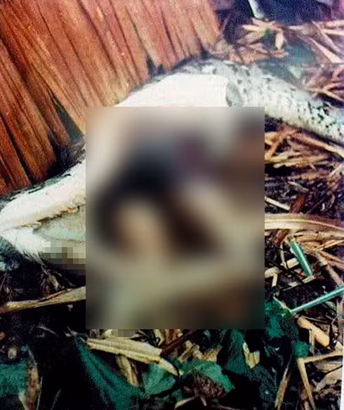 Một trong những vụ trăn ăn thịt người kinh hoàng nhất là trường hợp xảy ra ở tỉnh Quý Châu, Trung Quốc. Nạn nhân là một cô bé học sinh lớp 8, tên Lưu Đồng, bị con trăn khổng lồ nuốt chửng khi đang làm đồng giúp bố mẹ.