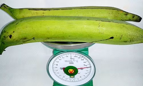 Chuoi to nhat Viet Nam: 20.000 dong mot qua-Hinh-2