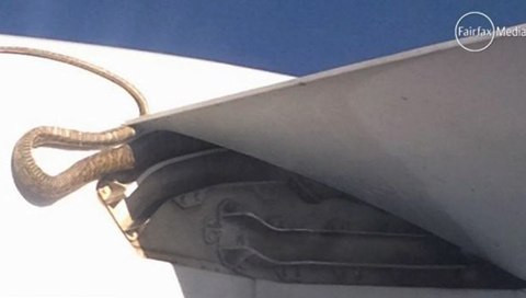 Hành khách trên máy bay của hãng hàng không Qantas, Australia từng được phen kinh ngạc chứng kiến cảnh con rắn 3m cố bám trên cánh máy bay suốt 2 giờ.