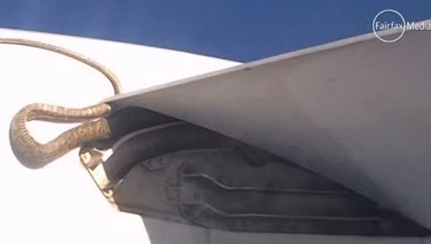 Hành khách trên máy bay của hãng hàng không Qantas, Australia từng được phen kinh ngạc chứng kiến cảnh con rắn 3m cố bám trên cánh máy bay suốt 2 giờ.