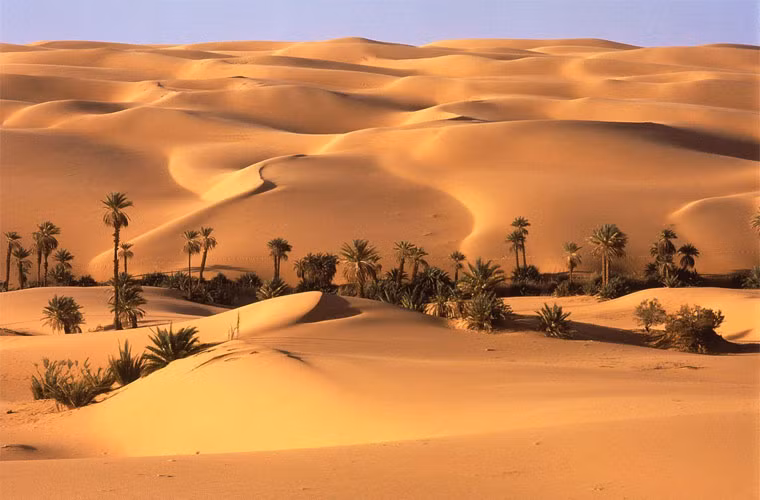 Theo thống kê, có hơn 300.000 cư dân sinh sống ở thành phố này.