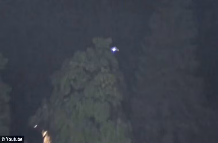 UFO được miêu tả là một vật màu xanh, có kèm đèn flash, xuất hiện ngay trên hàng rào bảo vệ sân trong những phút đầu của hiệp thứ 6.