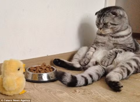 Niki có vẻ thoải mái với dáng ngồi này.