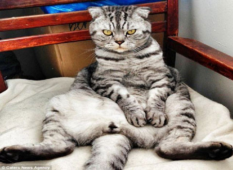 Chú thậm chí đã xuất hiện trên kênh truyền hình của Nga như MTV, Channel U sau khi người chú Virta bắt đầu đăng tải những bức hình của chú.