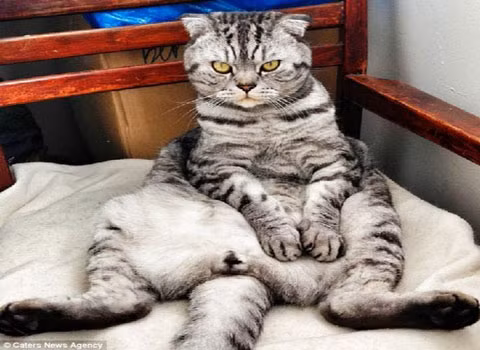 Chú thậm chí đã xuất hiện trên kênh truyền hình của Nga như MTV, Channel U sau khi người chú Virta bắt đầu đăng tải những bức hình của chú.