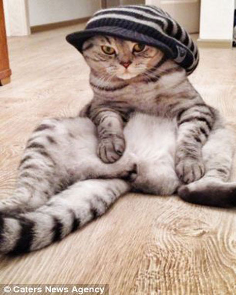 Người ta thậm chí còn nhân danh chú để gây quỹ từ thiện cho nạn nhân đáng bom tại cuộc thi marathon Boston, Mỹ.