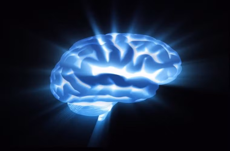 Não bị thu hẹp. Trái với suy nghĩ của nhiều người, não của con người hiện bị thu hẹp đi. Nhiều nhà khoa học cho rằng việc não nhỏ hơn đồng nghĩa với việc chúng ta đang “ngu đi”.