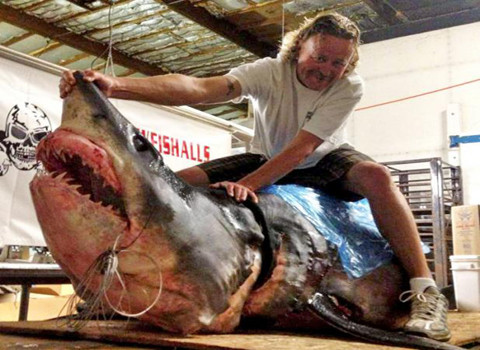 Jason Johnston đã bắt được một con cá mập mako lớn nhất từ trước đến nay (bắt bằng cần câu). Con cá mập nặng 1.321 kg, vượt xa kỷ lục đã từng lập 12 năm trước đó của Hiệp hội trò chơi cá quốc tế.