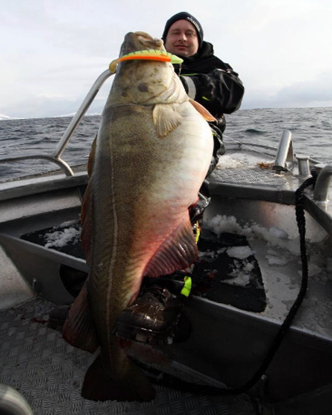 Cần thủ David Confeldt Smashes đã bắt được một chú cá thu nặng 37,4 kg khi đang đi câu tại phía bắc Na Uy.