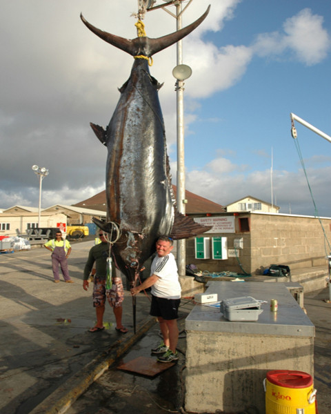 Cần thủ Kevin Gardner đã bắt được một con cá kiếm xanh Atlantic nặng tới 600kg.