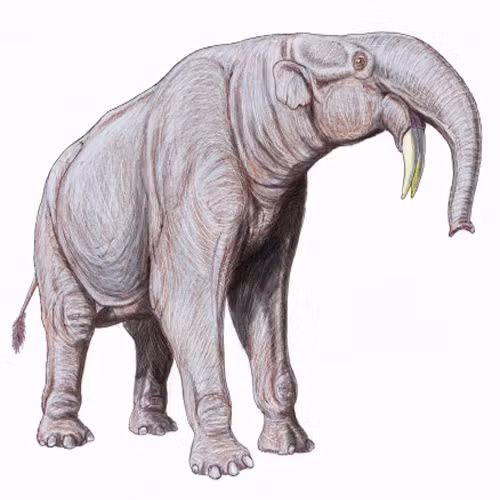 Deinotherium. Loài vật này sống ở kỷ Miocene giữa và tuyệt chủng ở kỷ Pleitocen mới. Đây được coi là loài động vật sống trên cạn lớn thứ 3 trên thế giới từng tồn tại. Nó cao khoảng 4,6 m và nặng trên 15,4 tấn. Nó khá giống với loài voi hiện tại. Điều khác biệt duy nhất là nó có chiếc vòi ngắn hơn và chiếc ngà voi gắn với hàm dưới, chứ không phải hàm trên như hiện nay. Hóa thạch của loài này có thể được tìm thấy ở châu Âu, châu Á và châu Phi.