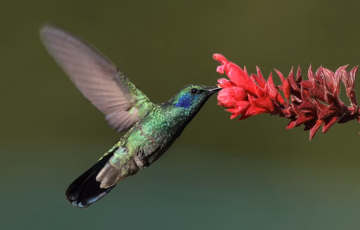 Nguoi sinh ngay Am lich nay gioi giao tiep, su nghiep thuan buom xuoi gio-Hinh-4