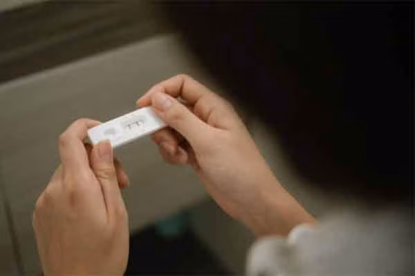 Co bau, nha trai bao cuoi cho la may, nha gai phan ung chat