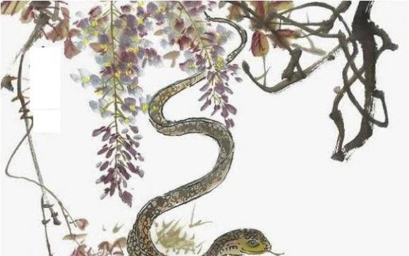 Trong sự nghiệp của bản thân, điều chỉnh được ảnh hưởng của năm sinh, xử lý mọi việc rất lý trí, cực kỳ trung thành,. nhiệt tình và hoạt bát. Tuổi Tỵ sẽ làm mọi thứ một mình và nói chung là không thích đối đầu với mọi người. (Bài viết chỉ mang tính chất tham khảo và chiêm nghiệm).