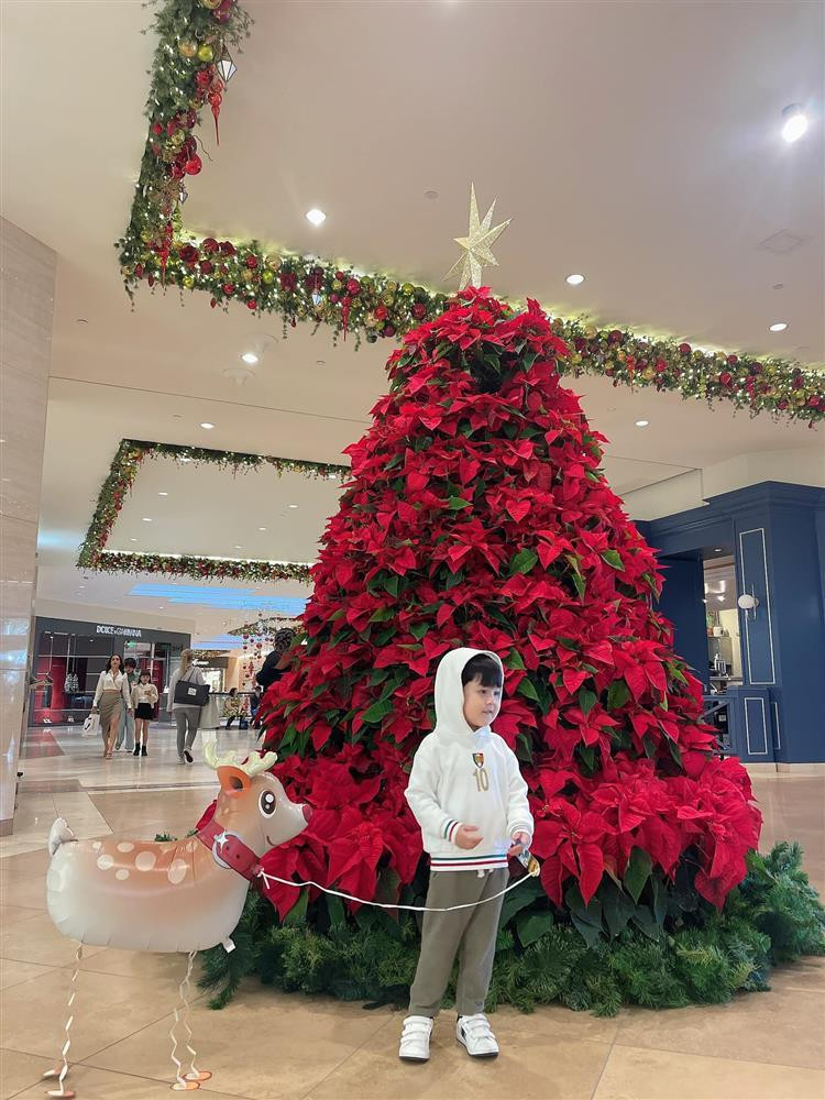 uý tử nhà Đàm Vĩnh Hưng cũng có bức ảnh ngập tràn không khí Giáng sinh.