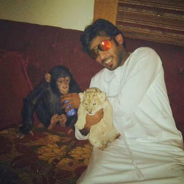 Ngoài ra, Humaid Albuqiash còn nuôi thêm cả khỉ.