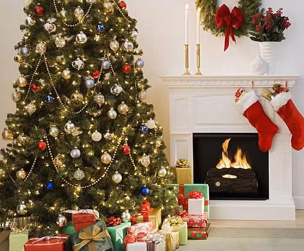  Cây thông Noel được xem là một đồ trang trí không thể thiếu trong dịp Giáng sinh. Bên cạnh đó, việc trồng thông cũng mang lại lợi ích kinh tế rất lớn cho những người trồng thông.