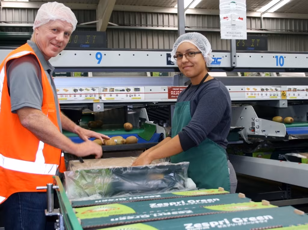 Những công nhân tại nhà máy sẽ tuyển chọn và đóng hộp những trái đạt tiêu chuẩn trước phân phối ra thị trường.