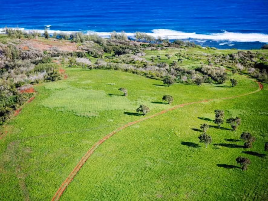 Với diện tích 280 ha, khu đất này đủ để xây 85 căn nhà, nhưng Zuckerberg chỉ xây một căn, diện tích còn lại sẽ là không gian riêng tư cho căn nhà.