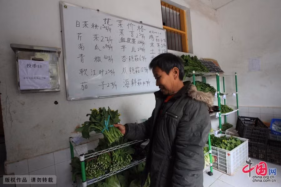 Cua hang rau sach tu phuc vu mo hinh kinh doanh doc dao