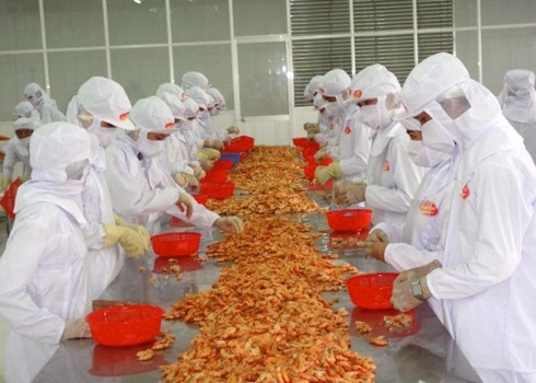 Tiếp đến là công đoạn làm sạch vỏ tôm: Có thể bóc vỏ tôm bằng phương pháp thủ công hoặc bằng máy móc công nghiệp.