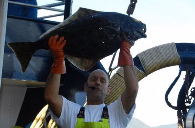 Một con cá khủng ngư dân bắt được trong tour du lịch.