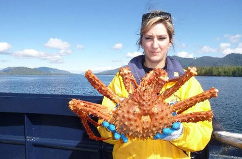 Trong suốt tour du lịch kéo dài 3 tiếng này, bạn sẽ có cơ hội ghi lại những bức ảnh để đời với những sinh vật biển khổng lồ.