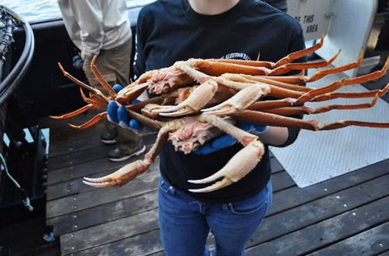 Khi đến ngư trường, bạn sẽ được đứng ngay cạnh các ngư dân để xem công việc đánh bắt cua cá.