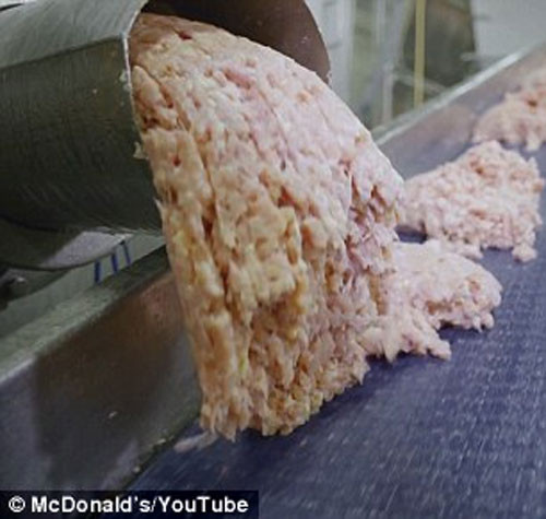 Trong khoang pha trộn, thịt gà được máy đưa lên nhồi vào máy xay.