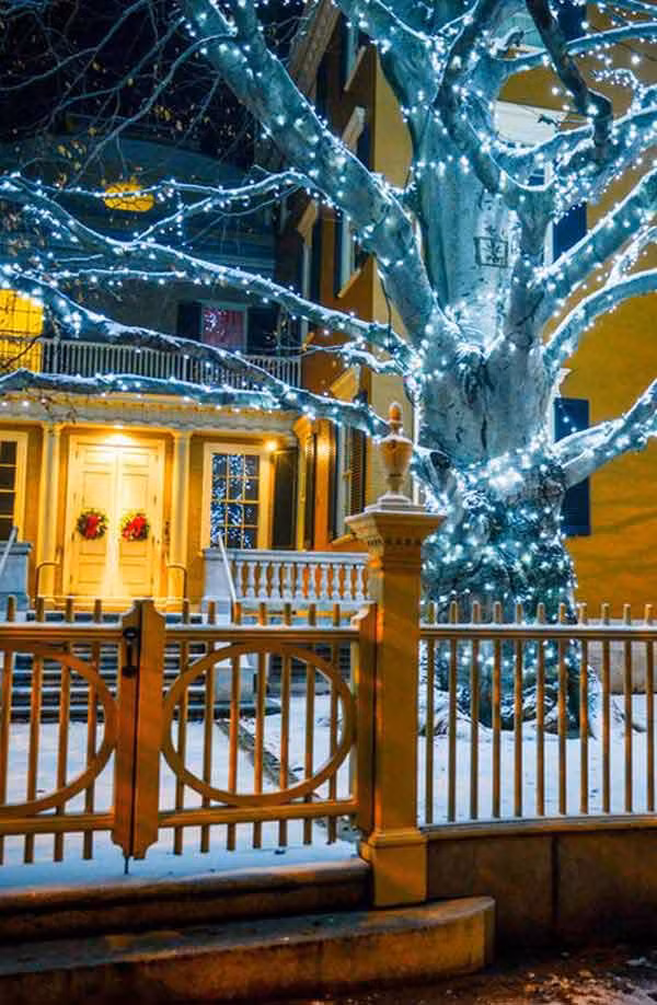 Nếu trước cửa có một cây lớn, bạn có thể tận dụng nó để trang trí cho nhà cửa nhân dịp Giáng sinh.