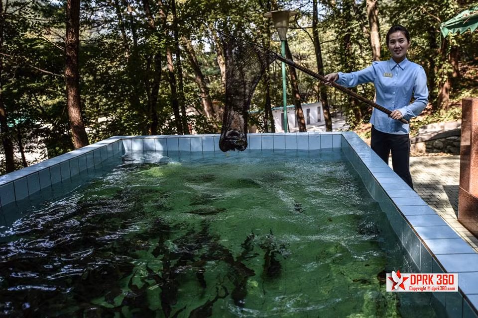 Bể nuôi hải sản để phục vụ nhu cầu ăn uống của khách hàng.