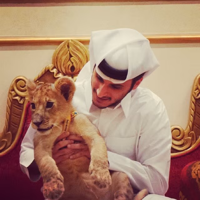 Giới nhà giàu Trung Đông rất cưng nựng những con thú cưng của họ.