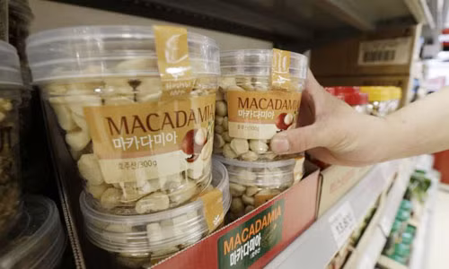 Ông Nguyễn Đức Hưởng- Phó chủ tịch Ngân hàng Bưu điện Liên Việt (LienVietPostBank), người chủ trì đề án cho rằng đây là cơ hội để nông dân chuyển đổi cơ cấu cây trồng bằng cách đưa cây mắc ca vào thay thế cà phê. Ông đưa ra so sánh: Chi phí đầu tư trồng mắc ca thấp hơn cà phê, mà vòng đời cà phê cho lãi bình quân khoảng 75 - 86 triệu đồng/ha mỗi năm trong 20 năm, trong khi mắc ca có thể cho lãi từ 510 - 520 triệu đồng/ha/năm trong hơn 60 năm.