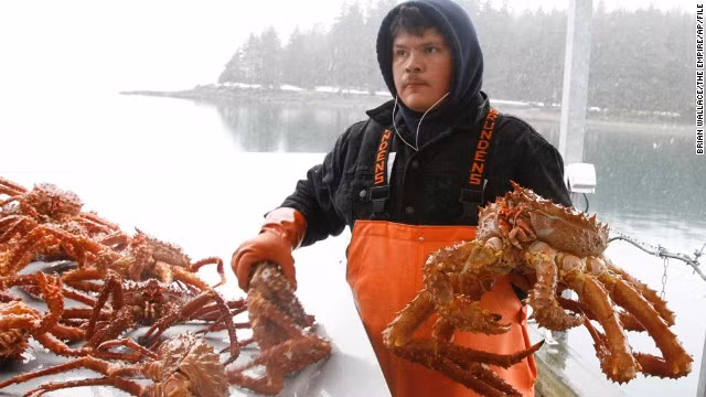 Một khi bạn có đủ kinh nghiệm đánh bắt cá hồi, bạn mới có thể được nhận thử việc trên tàu khai thác cua hoàng đế Alaska.