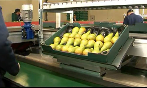 Cuối cùng là công đoạn đóng gói.