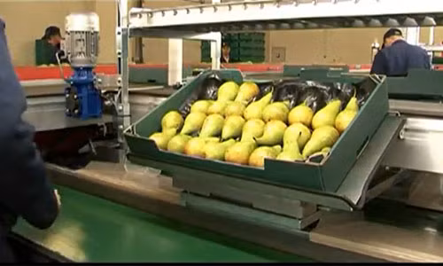 Cuối cùng là công đoạn đóng gói.