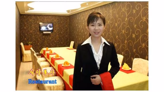 Hana Electronics - một trong số ít các công ty liên doanh nước ngoài tại Triều Tiên, được thành lập vào năm 2003, bắt đầu sản xuất đĩa DVD và Video CD từ năm 2004, theo trang web của công ty.