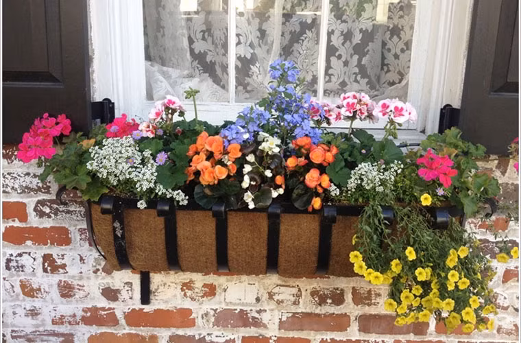 Bạn có thể chọn các màu sắc hoa thật bắt mắt để tăng sự nổi bật.