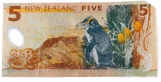 Tờ 5 đô la của New Zealand có hình chim cánh cụt mắt vàng.