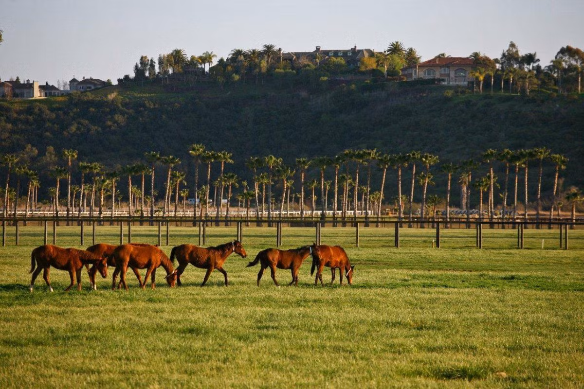 Để đến Rancho Paseana mất khoảng 20 phút về phía bắc của San Diego, trong một thung lũng ở Rancho Santa Fe, California.