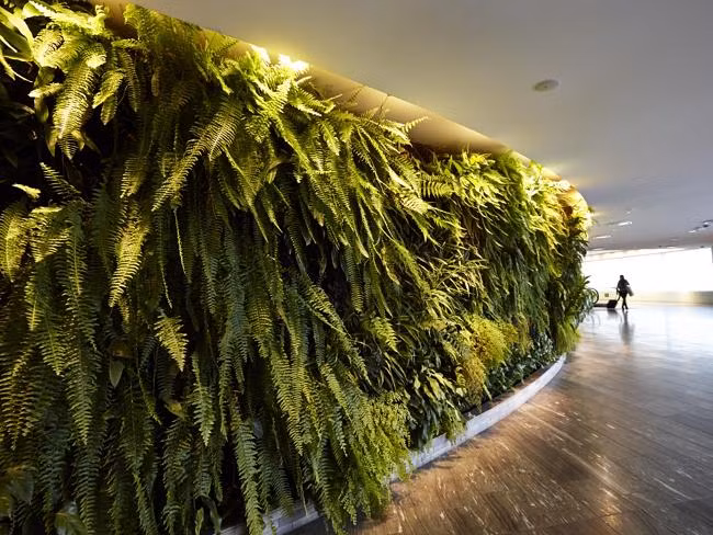 Một góc không gian xanh mát của khu vực phòng chờ VIP.