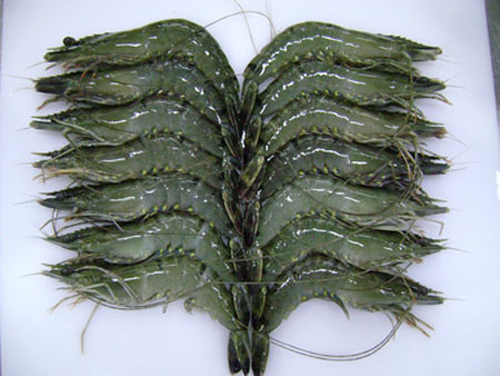 Tôm phải được luộc trong nước thật sôi từ 5-6 phút, rồi mới cho muối vào luộc tiếp khoảng 4 phút nữa sau đó đem ra phơi hoặc sấy khô thủ công.