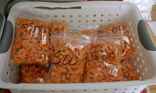 Với người dân Louisiana, tôm khô là một trong những thực phẩm an toàn nhất thế giới, do chúng không chứa dầu độc hại hoặc hóa chất nhân tạo tổng hợp.