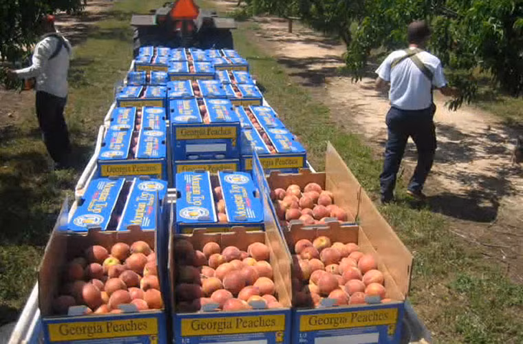 ...sau đó, quy tập về một nơi.