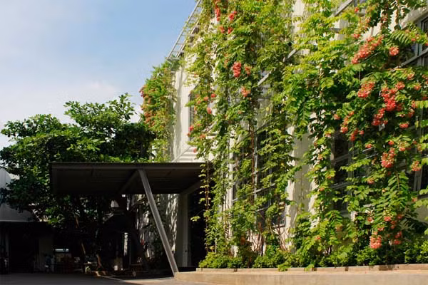 Lối vào công ty dệt may khá râm mát bởi bóng cây.