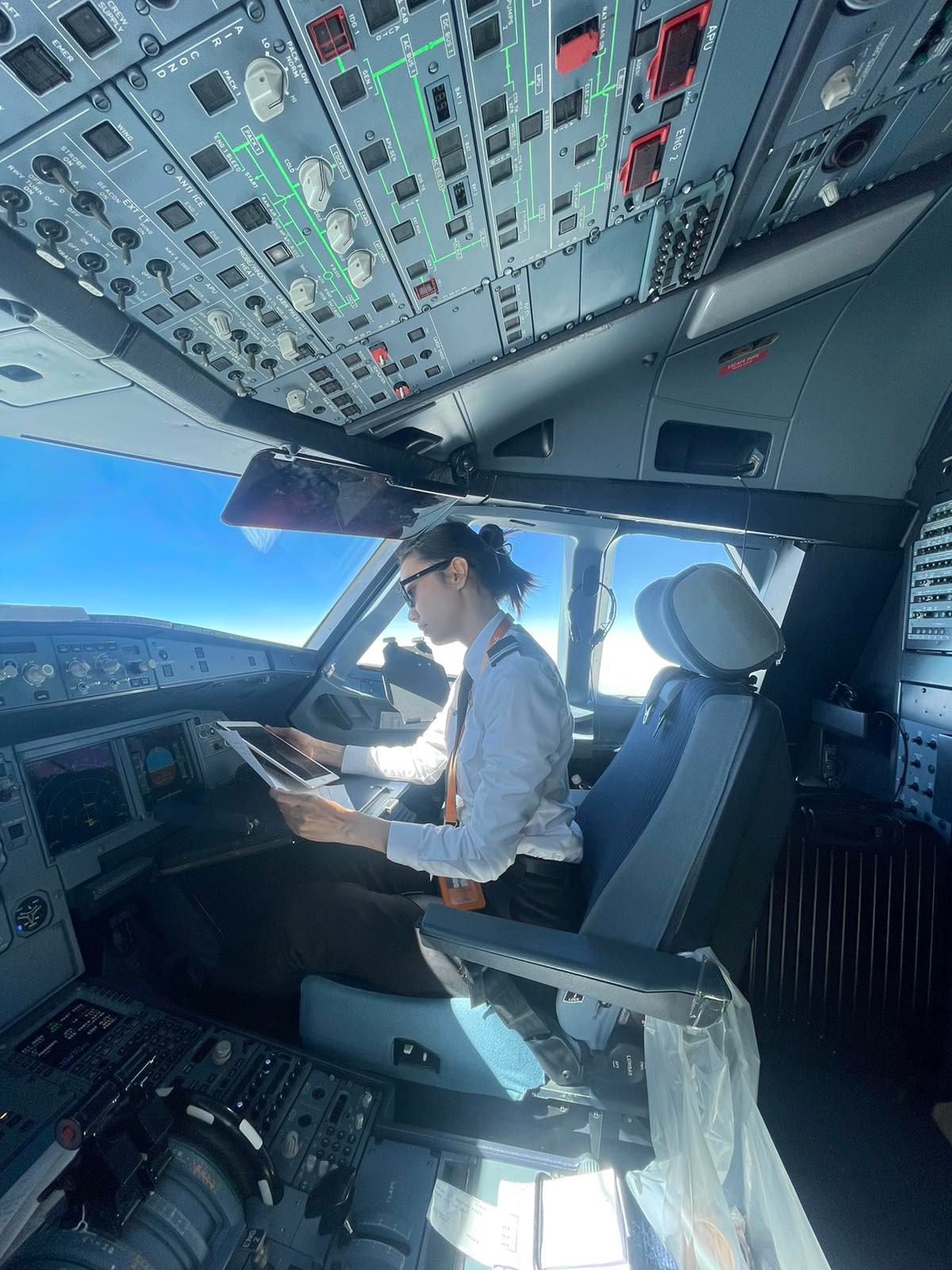 Nu phi cong va co duyen voi buong lai-Hinh-2